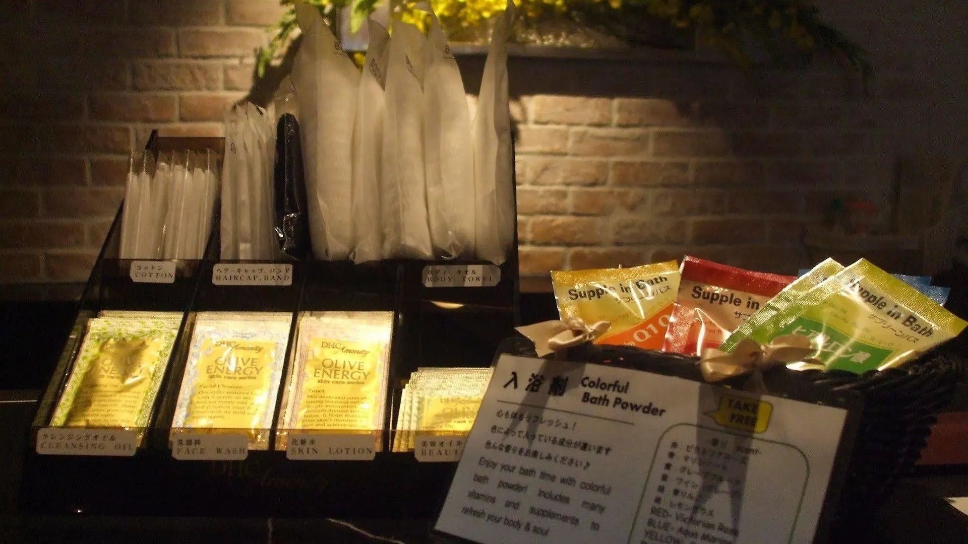 Hibiya City Hotel Tokyo 3*,